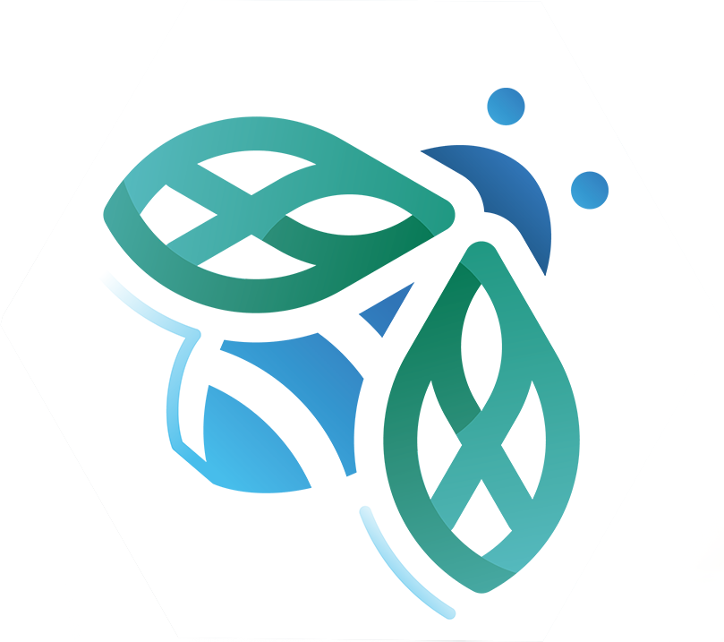 Dedicated Fund on Branding, Upgrading and Domestic Sales (BUD Fund)